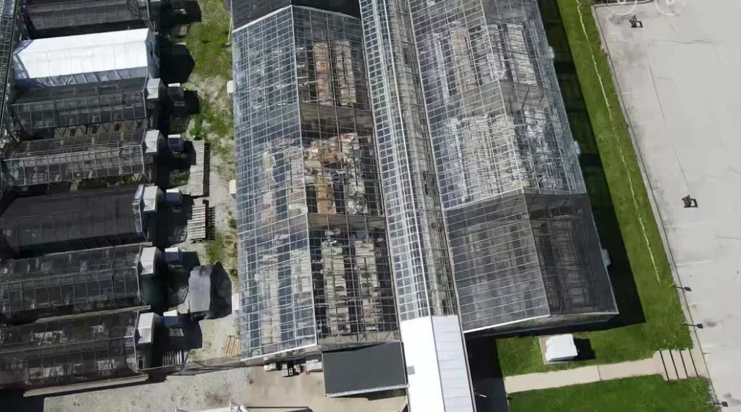 Turning Four-Days of Work into a Four-Hour Job