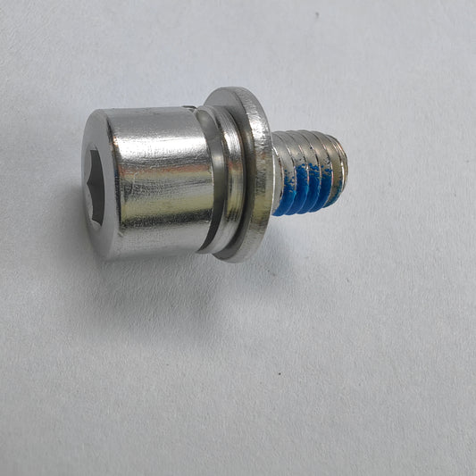 Internal Hexagon Combination Screw M8X15