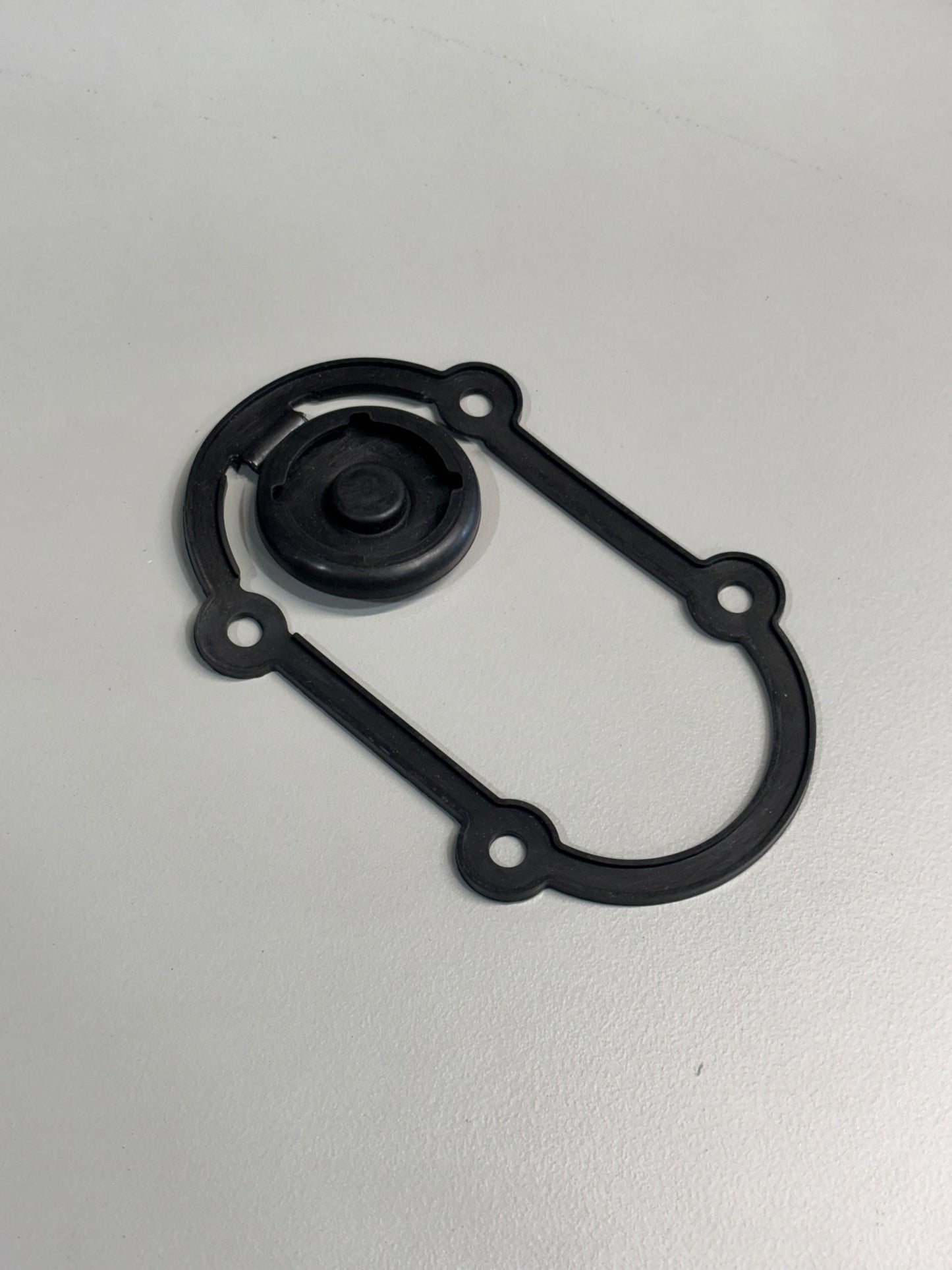 Roadrunner Pump Seal (1st ediition)