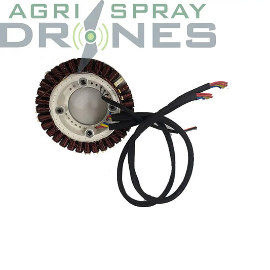 D12000I - Magneto Stator (Rato) Agras Parts