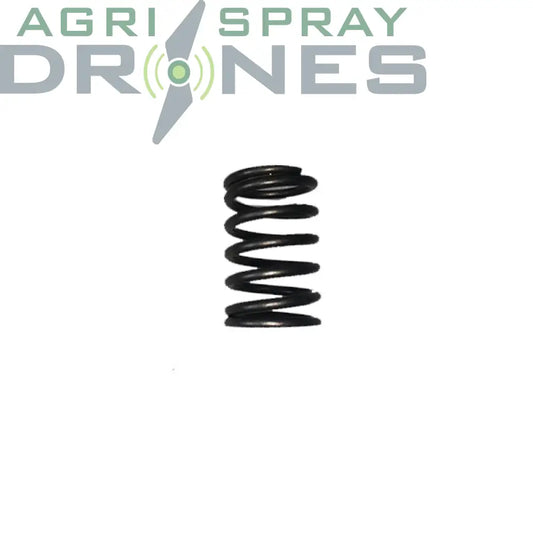 D12000I - Valve Spring (Rato) Agras Parts